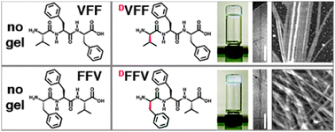 Tripeptide Self Assembled Hydrogels Unexpected Twists Of Chirality Chemical Communications Rsc Publishing