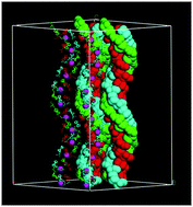 トッカ① Molecular cable-like 1-D iodic spiral chains covered with