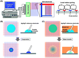 Electrochemical detection for dynamic analyses of a redox component in ...