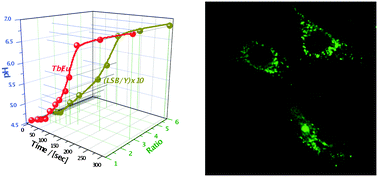 Live Cell Imaging Of Lysosomal Ph Changes With Ph Responsive Ratiometric Lanthanide Probes Chemical Communications Rsc Publishing