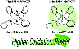 ※SHUページ Electron-transfer properties of a nonheme manganese(iv)–oxo