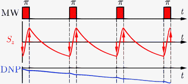 Theory Of The Overhauser Effect In The Pulsed Mode Of Epr Pumping Exploiting The Advantages Of Coherent Electron Spin Motion Physical Chemistry Chemical Physics Rsc Publishing