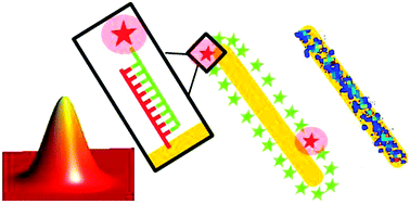 Ground State Depletion Microscopy For Imaging Interactions Between Gold Nanowires And Fluorophore Labeled Ligands Physical Chemistry Chemical Physics Rsc Publishing
