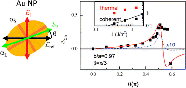 Polarization Resolved Ultrafast Dynamics Of The Complex Polarizability In Single Gold Nanoparticles Physical Chemistry Chemical Physics Rsc Publishing