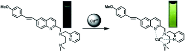 A novel quinoline-based two-photon fluorescent probe for detecting Cd2 ...