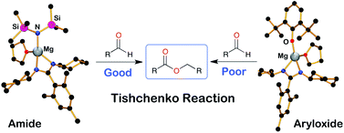 rsc tishchenko