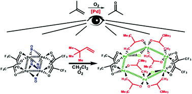 Palladium Ketonyl Carboxylate Complexes Potential Models Of Polynuclear Intermediates In Olefin Oxidation Formation And X Ray Structure Of Pd6 M Cl 2 X M Cf3co2 4 M K2 Ch2c O Cme3 6 X X 0 2 Dalton Transactions Rsc Publishing