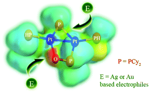 Reactivity Of The Phosphinito Bridged Pt I Complex Phcy2 Pt M Pcy2 K2p O M P O Cy2 Pt Phcy2 Pt Pt Towards Au I And Ag I Electrophiles Dalton Transactions Rsc Publishing