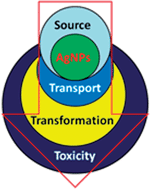 Silver Nanoparticles In The Environment Environmental Science Processes Impacts Rsc Publishing