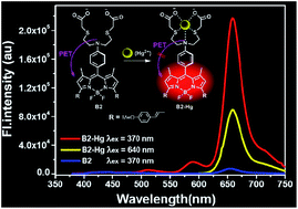 The emission enhancement of the NIR distyryl Bodipy dyes by the ...