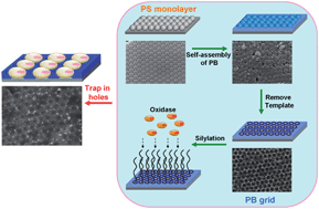 Single Layer Prussian Blue Grid As A Versatile Enzyme Trap For Low Potential Biosensors Journal Of Materials Chemistry Rsc Publishing
