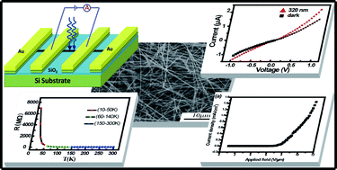 One dimensional ternary Cu–Bi–S based semiconductor nanowires ...