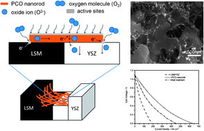 Fabrication and performance of Pr-doped CeO2 nanorods-impregnated Sr ...