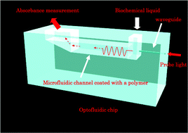 Highly Sensitive Optofluidic Chips For Biochemical Liquid Assay Fabricated By 3d Femtosecond Laser Micromachining Followed By Polymer Coating Lab On A Chip Rsc Publishing