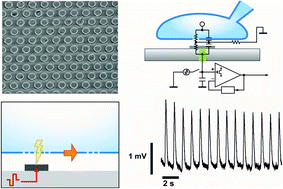 Open-cell recording of action potentials using active electrode arrays ...