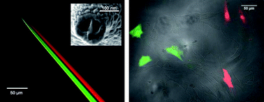 Voltage controlled nano-injection system for single-cell surgery ...