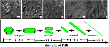Size Controlled Synthesis And Morphology Evolution Of Bismuth Trifluoride Nanocrystals Via A Novel Solvent Extraction Route Nanoscale Rsc Publishing