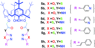 Calix 4 Arene Based 1 3 4 Oxadiazole And Thiadiazole Derivatives Design Synthesis And Biological Evaluation Organic Biomolecular Chemistry Rsc Publishing