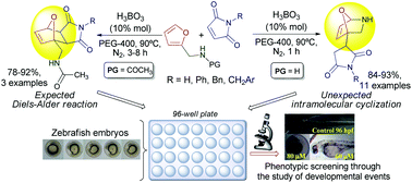 An Unexpected Formation Of The Novel 7 Oxa 2 Azabicyclo 2 2 1 Hept 5 Ene Skeleton During The Reaction Of Furfurylamine With Maleimides And Their Bioprospection Using A Zebrafish Embryo Model Organic Biomolecular Chemistry Rsc Publishing