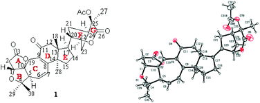 Eleven new highly oxygenated triterpenoids from the leaves and stem…