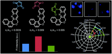 Chromenoquinoline-based thiol probes: a study on the quencher position ...