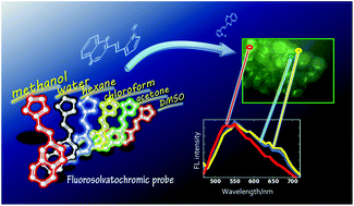 Environmental polarity estimation in living cells by use of quinoxaline ...