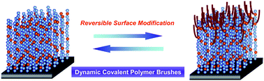 Dynamic covalent polymer brushes: reversible surface modification of ...