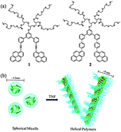 Supramolecular polymerization of spherical micelles triggered by donor ...