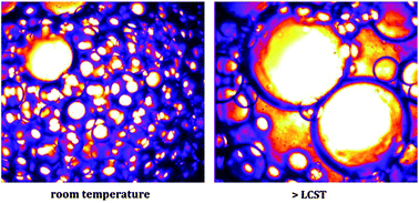 Well Defined Temperature Sensitive Surfactants For