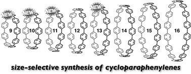 Size-selective synthesis of [9]–[11] and [13