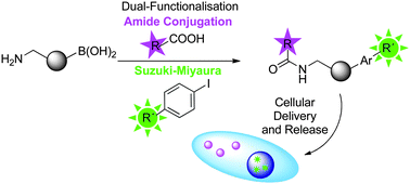 Palladium-mediated bioorthogonal conjugation of dual-functionalised  nanoparticles and their cellular delivery - Chemical Science (RSC  Publishing)