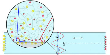 Dynamic Electrical Response Of Hydrogel Loaded Microchannels Soft Matter Rsc Publishing