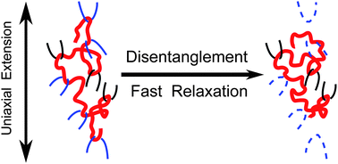 molecular relaxation