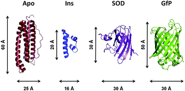 Hot paper: Lyophilised protein dynamics – Soft Matter Blog