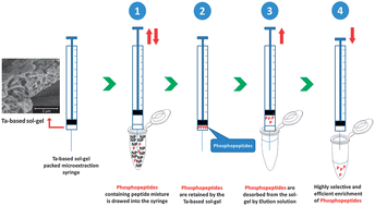A novel tantalum-based sol–gel packed microextraction syringe for ...