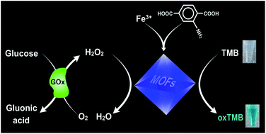 Bimetallic Metal–Organic Framework Fe/Co-MIL-88(NH2) Exhibiting High  Peroxidase-like Activity and Its Application in Detection of Extracellular  Vesicles