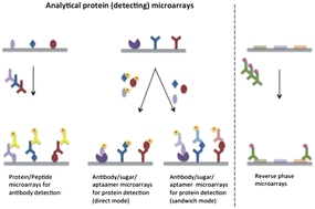 Protein microarray technology: how far off is routine diagnostics