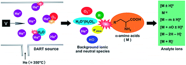 Ionization characteristics of amino acids in direct ...