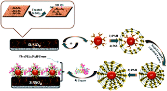 Urease capacitive biosensors using functionalized magnetic ...