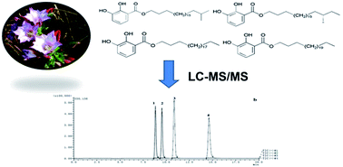 Development and validation of a UPLC-MS/MS method for the simultaneous ...