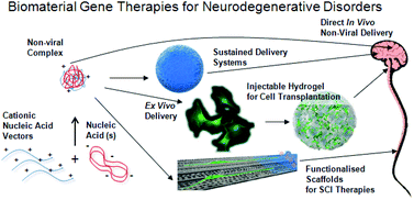 Biomaterial Approaches To Gene Therapies For Neurodegenerative Disorders Of The Cns Biomaterials Science Rsc Publishing