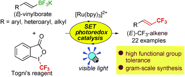Visible-light-induced synthesis of a variety of