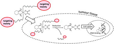 Maleimide Functionalised Platinum Iv Complexes As A Synthetic Platform For Targeted Drug Delivery Chemical Communications Rsc Publishing