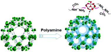 Tailor-Made Multiple Interpenetrated Metal–Organic Framework for Selective  Detection and Adsorption of ReO4–