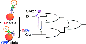 A Molecular Logical Switching Beacon Controlled By Thiolated Dna Signals Chemical Communications Rsc Publishing