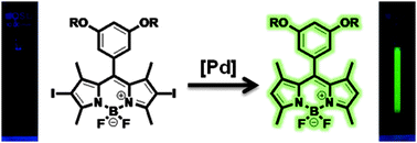 A fluorescence turn-on sensor for the detection of palladium ions that  operates through in situ generation of palladium nanoparticles - Chemical  Communications (RSC Publishing)