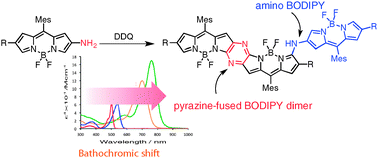 Oxidation of 2-amino-substituted BODIPYs providing pyrazine