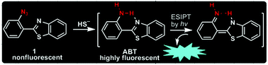 A new fluorescent probe for gasotransmitter H2S: high sensitivity ...