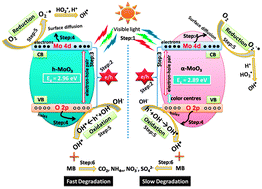 Preparation of h-MoO3 and α-MoO3 nanocrystals: comparative study on ...