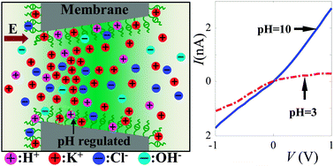 pH-regulated ionic current rectification in conical nanopores ...